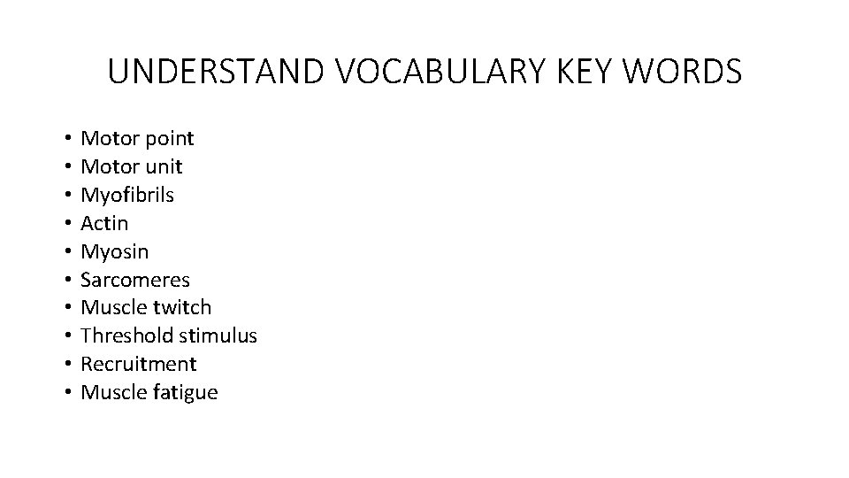 UNDERSTAND VOCABULARY KEY WORDS • • • Motor point Motor unit Myofibrils Actin Myosin