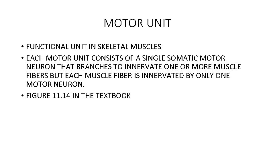 MOTOR UNIT • FUNCTIONAL UNIT IN SKELETAL MUSCLES • EACH MOTOR UNIT CONSISTS OF