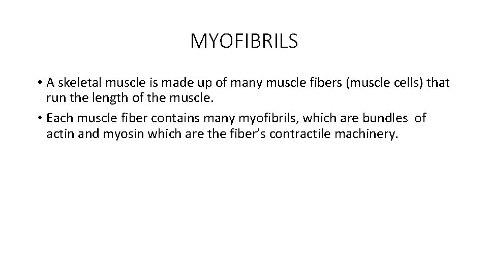 MYOFIBRILS • A skeletal muscle is made up of many muscle fibers (muscle cells)