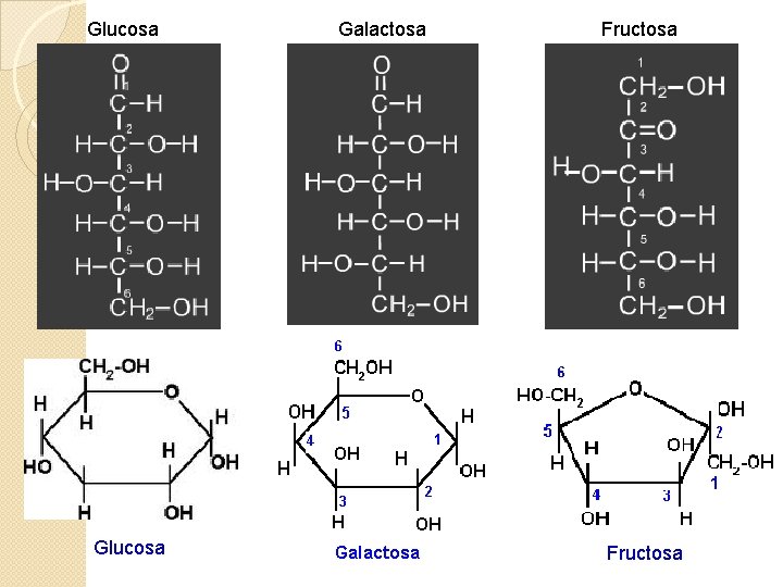 Glucosa Galactosa Fructosa 