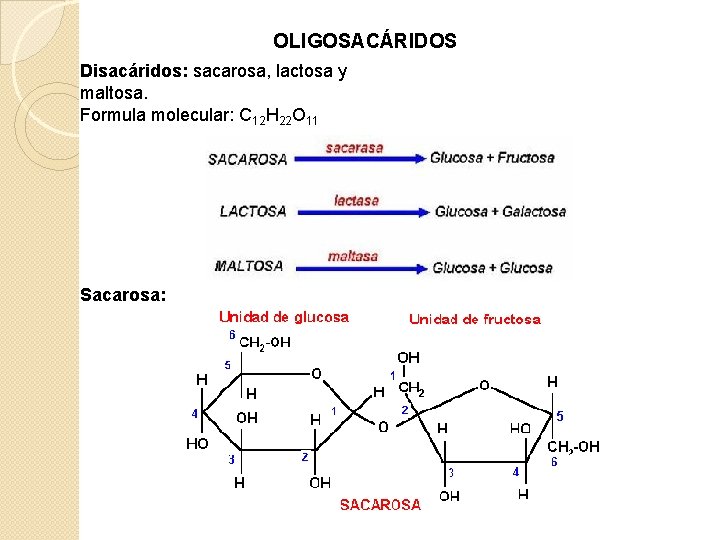 OLIGOSACÁRIDOS Disacáridos: sacarosa, lactosa y maltosa. Formula molecular: C 12 H 22 O 11
