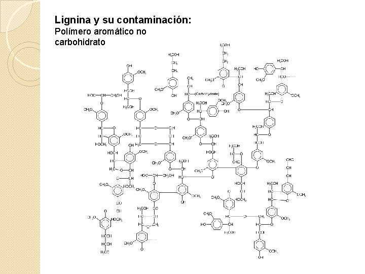 Lignina y su contaminación: Polímero aromático no carbohidrato 