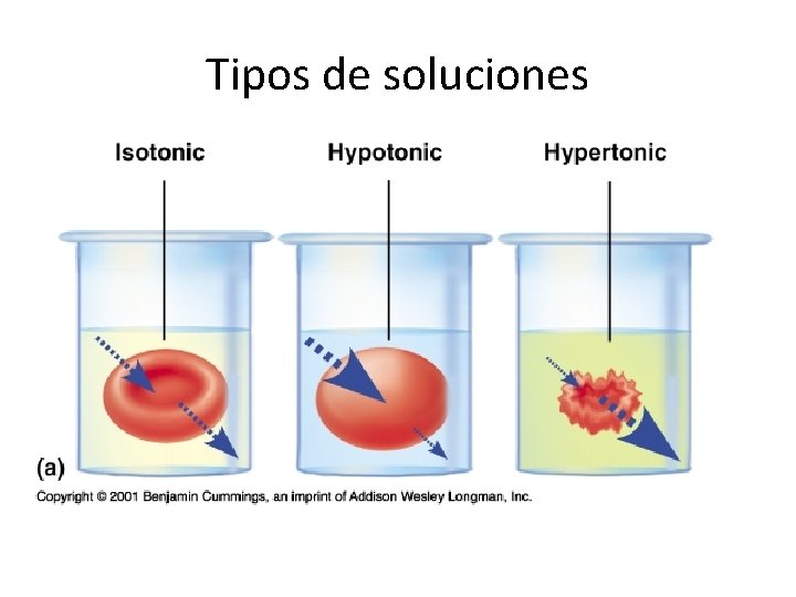 Tipos de soluciones 