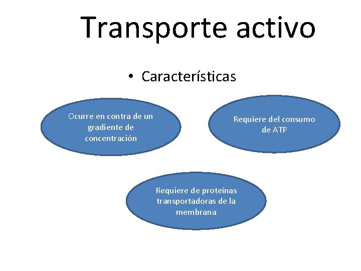 Transporte activo • Características Ocurre en contra de un gradiente de concentración Requiere del