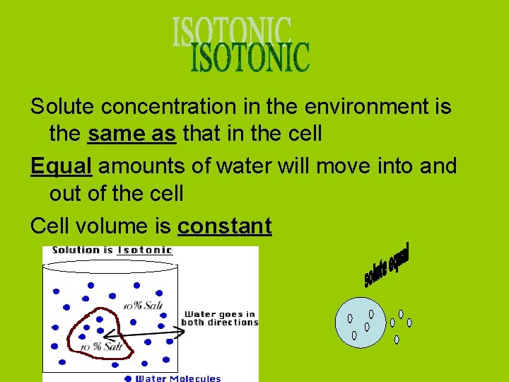 Solute concentration in the environment is the same as that in the cell Equal