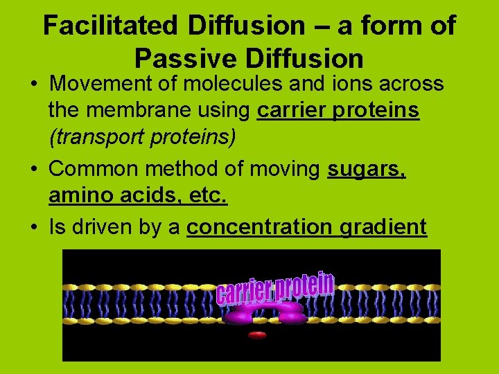 Facilitated Diffusion – a form of Passive Diffusion • Movement of molecules and ions