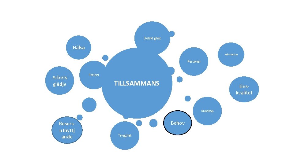 Delaktighet Hälsa Information Personal Arbets glädje Patient TILLSAMMANS Livskvalitet Kunskap Resursutnyttj ande Behov Trygghet