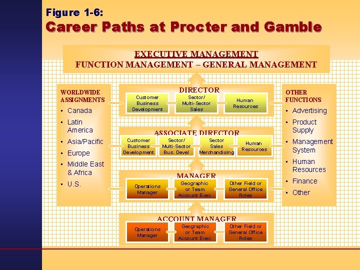 Figure 1 -6: Career Paths at Procter and Gamble EXECUTIVE MANAGEMENT FUNCTION MANAGEMENT –