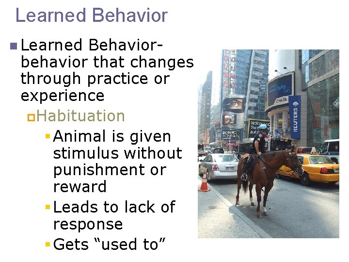 Learned Behavior n Learned Behaviorbehavior that changes through practice or experience p. Habituation §