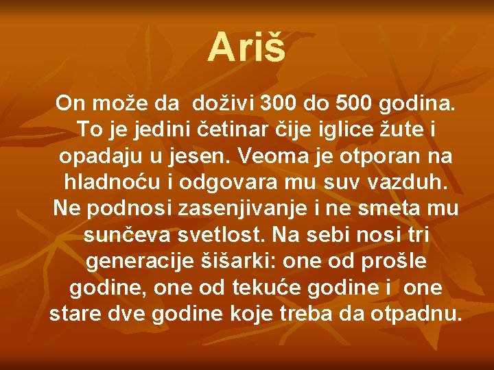 Ariš On može da doživi 300 do 500 godina. To je jedini četinar čije