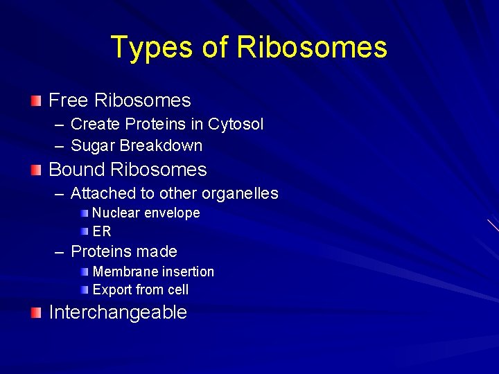 Types of Ribosomes Free Ribosomes – Create Proteins in Cytosol – Sugar Breakdown Bound