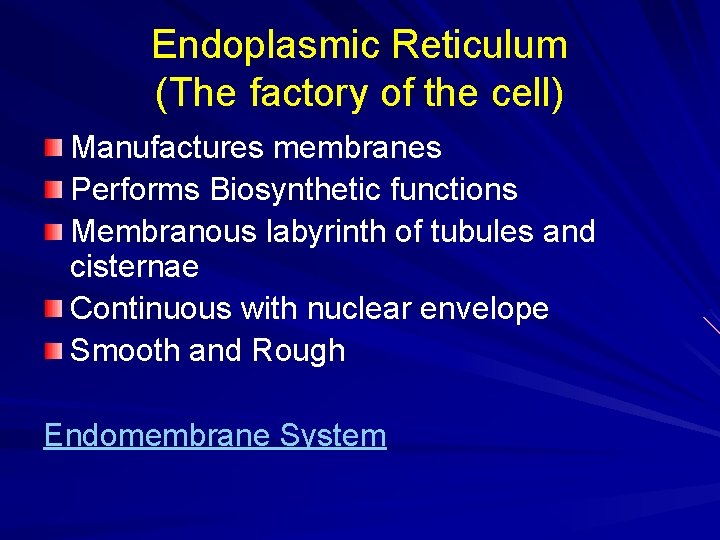 Endoplasmic Reticulum (The factory of the cell) Manufactures membranes Performs Biosynthetic functions Membranous labyrinth
