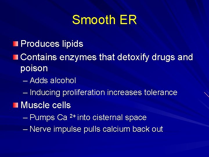 Smooth ER Produces lipids Contains enzymes that detoxify drugs and poison – Adds alcohol