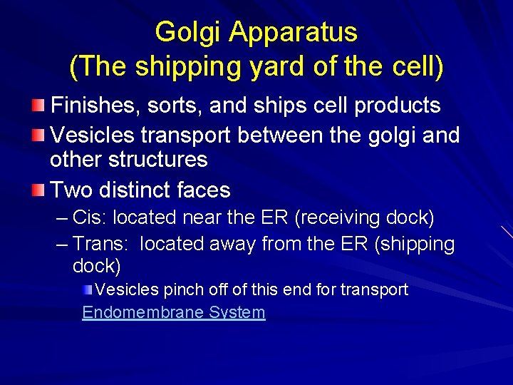 Golgi Apparatus (The shipping yard of the cell) Finishes, sorts, and ships cell products