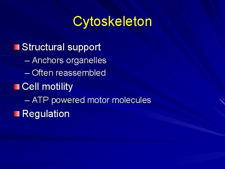 Cytoskeleton Structural support – Anchors organelles – Often reassembled Cell motility – ATP powered