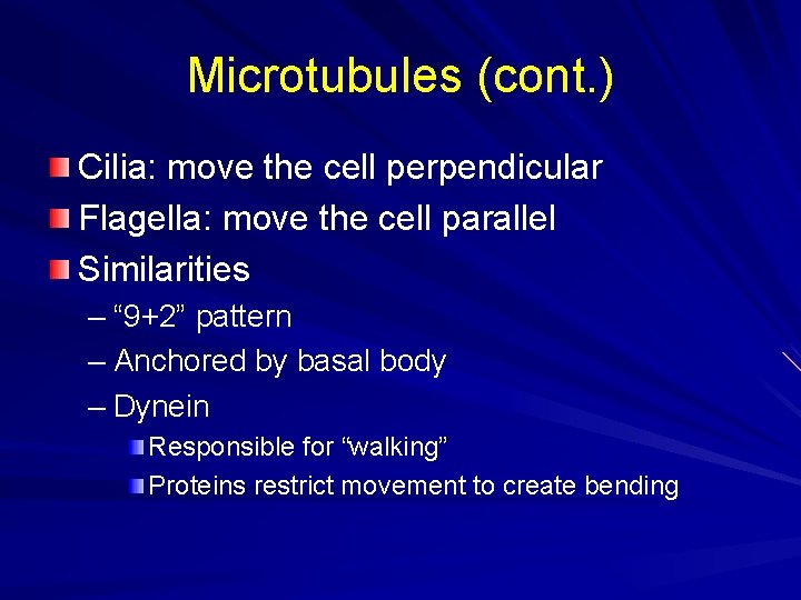 Microtubules (cont. ) Cilia: move the cell perpendicular Flagella: move the cell parallel Similarities