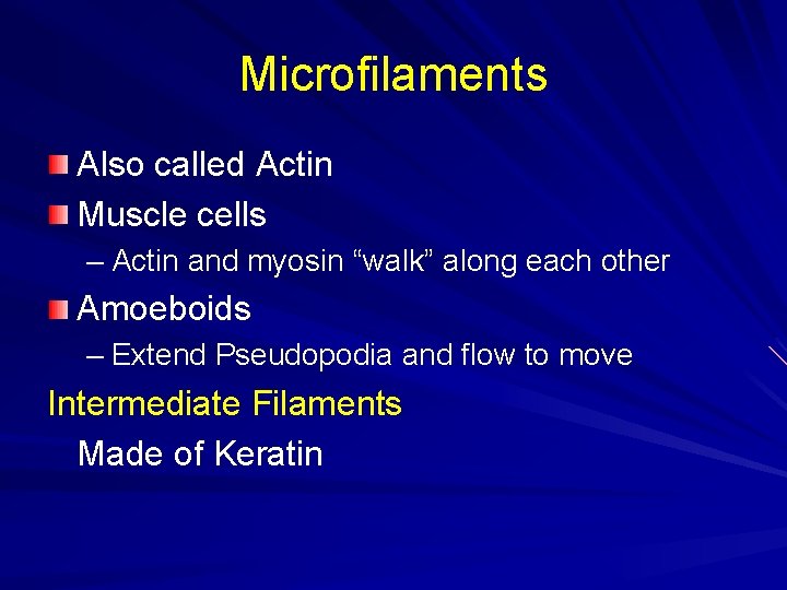 Microfilaments Also called Actin Muscle cells – Actin and myosin “walk” along each other
