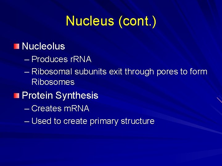 Nucleus (cont. ) Nucleolus – Produces r. RNA – Ribosomal subunits exit through pores