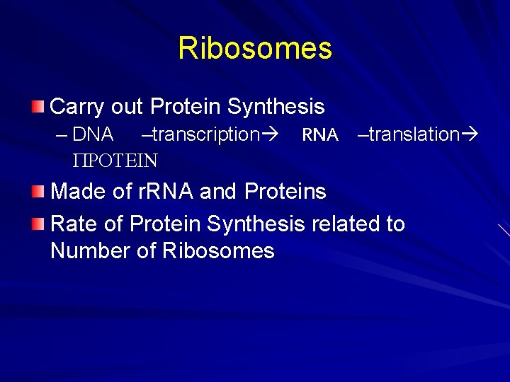 Ribosomes Carry out Protein Synthesis – DNA –transcription PROTEIN RNA –translation Made of r.