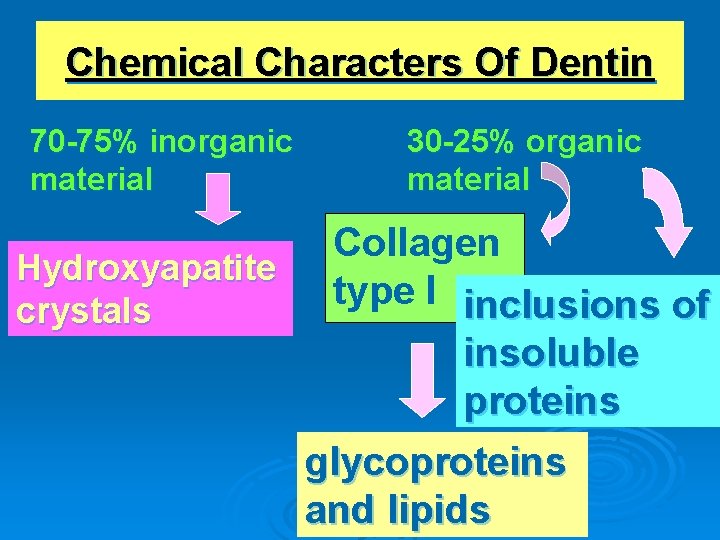 Chemical Characters Of Dentin 70 -75% inorganic material Hydroxyapatite crystals 30 -25% organic material