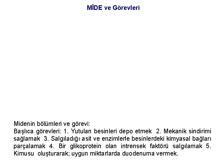 MİDE ve Görevleri Midenin bölümleri ve görevi: Başlıca görevleri: 1. Yutulan besinleri depo etmek