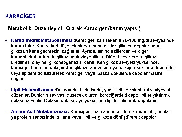 KARACİĞER Metabolik Düzenleyici Olarak Karaciğer (kanın yapısı) - Karbonhidrat Metabolizması : Karaciğer kan şekerini