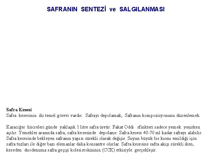 SAFRANIN SENTEZİ ve SALGILANMASI Safra Kesesi Safra kesesinin iki temel görevi vardır. Safrayı depolamak,