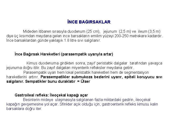 İNCE BAĞIRSAKLAR Mideden itibaren sırasıyla duodenum (25 cm), jejunum (2, 5 m) ve ileum