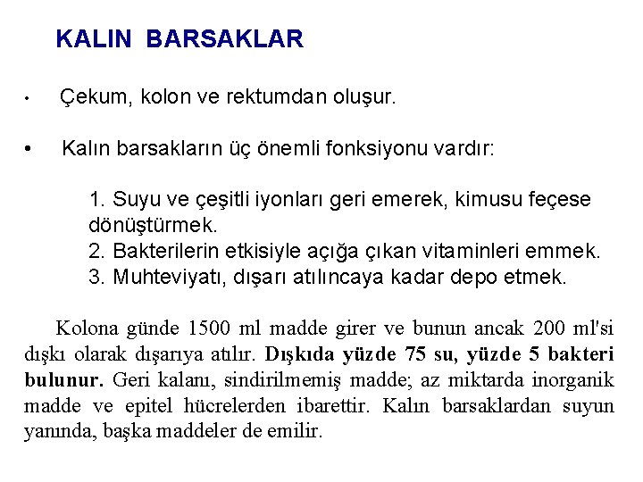 KALIN BARSAKLAR • Çekum, kolon ve rektumdan oluşur. • Kalın barsakların üç önemli fonksiyonu