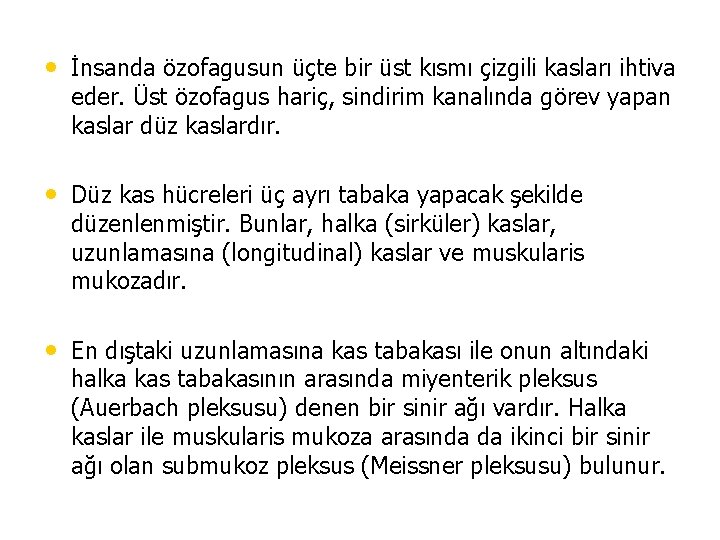  • İnsanda özofagusun üçte bir üst kısmı çizgili kasları ihtiva eder. Üst özofagus