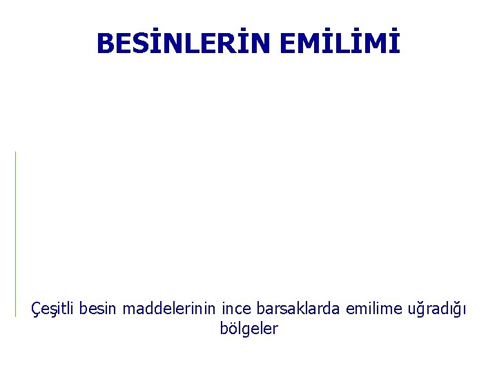 BESİNLERİN EMİLİMİ Çeşitli besin maddelerinin ince barsaklarda emilime uğradığı bölgeler 