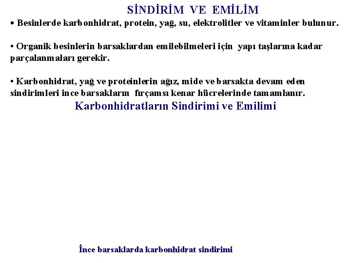 SİNDİRİM VE EMİLİM • Besinlerde karbonhidrat, protein, yağ, su, elektrolitler ve vitaminler bulunur. •