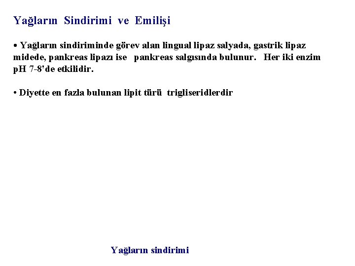 Yağların Sindirimi ve Emilişi • Yağların sindiriminde görev alan lingual lipaz salyada, gastrik lipaz