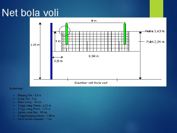 Net bola voli 