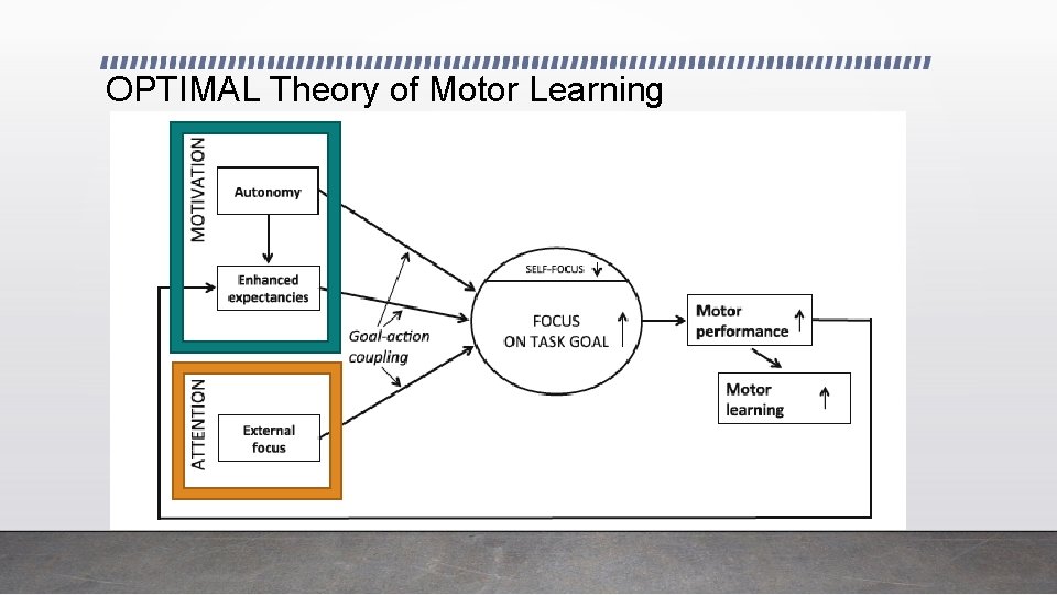 OPTIMAL Theory of Motor Learning 