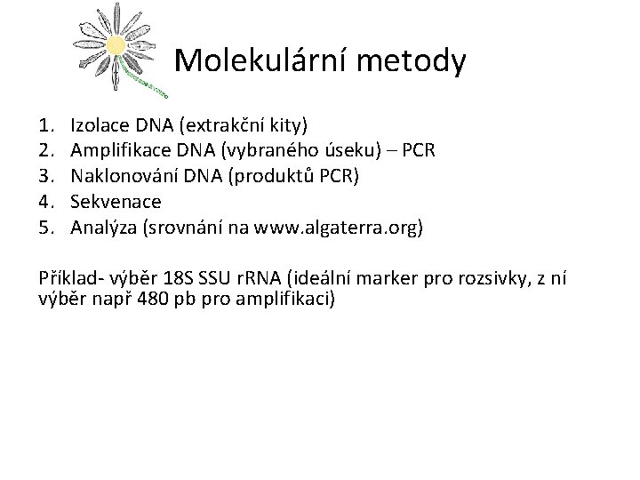 Molekulární metody 1. 2. 3. 4. 5. Izolace DNA (extrakční kity) Amplifikace DNA (vybraného