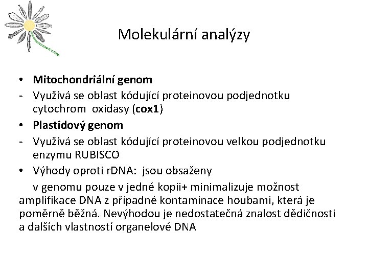 Molekulární analýzy • Mitochondriální genom - Využívá se oblast kódující proteinovou podjednotku cytochrom oxidasy