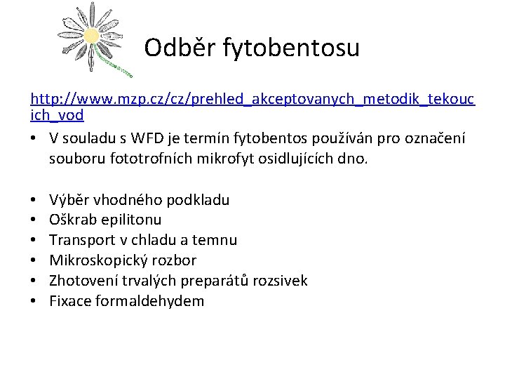 Odběr fytobentosu http: //www. mzp. cz/cz/prehled_akceptovanych_metodik_tekouc ich_vod • V souladu s WFD je termín