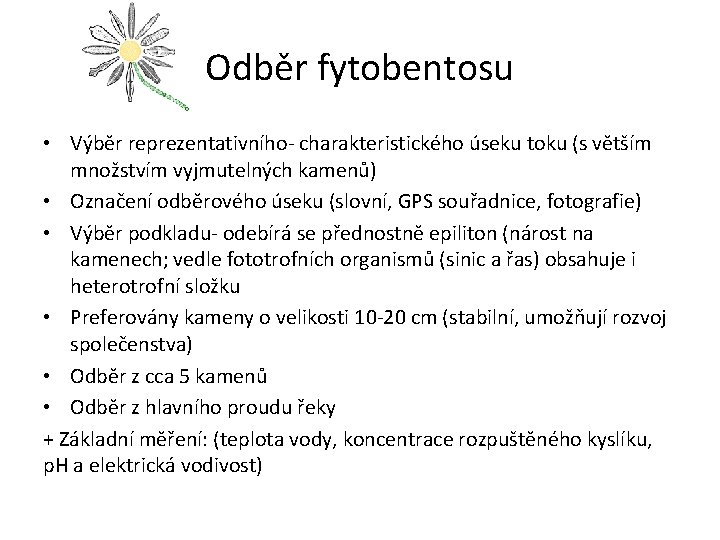 Odběr fytobentosu • Výběr reprezentativního- charakteristického úseku toku (s větším množstvím vyjmutelných kamenů) •