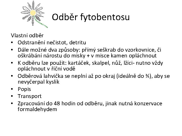 Odběr fytobentosu Vlastní odběr • Odstranění nečistot, detritu • Dále možné dva způsoby: přímý