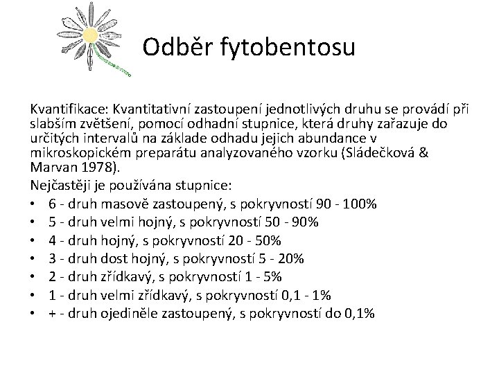 Odběr fytobentosu Kvantifikace: Kvantitativní zastoupení jednotlivých druhu se provádí při slabším zvětšení, pomocí odhadní