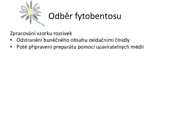 Odběr fytobentosu Zpracování vzorku rozsivek • Odstranění buněčného obsahu oxidačními činidly • Poté připravení