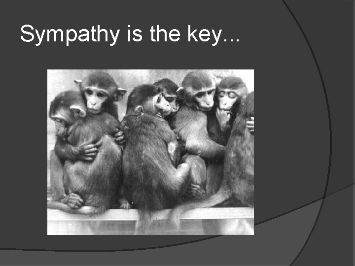Sympathy is the key. . . 