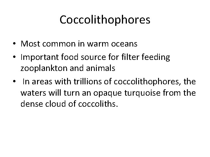 Coccolithophores • Most common in warm oceans • Important food source for filter feeding