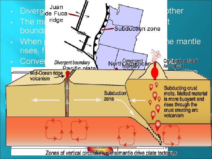  • • Divergent plates move away from each other The mid-ocean ridge is