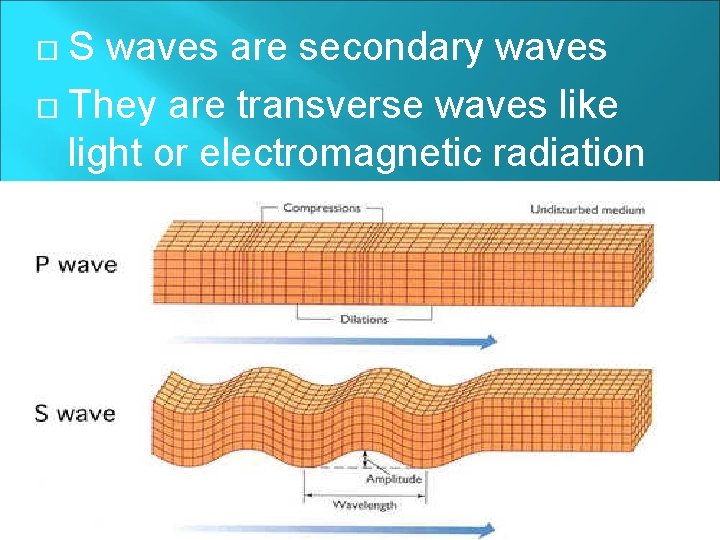 S waves are secondary waves They are transverse waves like light or electromagnetic radiation