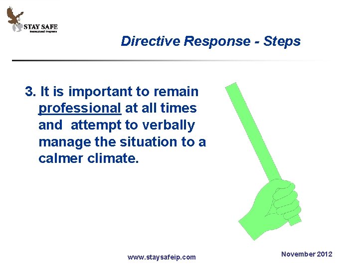 Directive Response - Steps 3. It is important to remain professional at all times