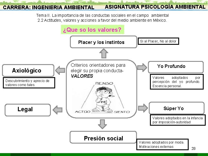 CARRERA: INGENIERIA AMBIENTAL ASIGNATURA PSICOLOGÍA AMBIENTAL Tema II. La importancia de las conductas sociales