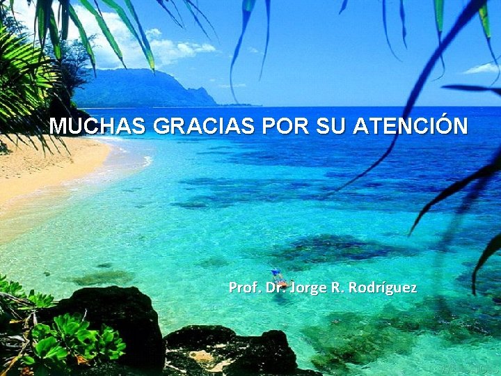 MUCHAS GRACIAS POR SU ATENCIÓN Prof. Dr. Jorge R. Rodríguez 