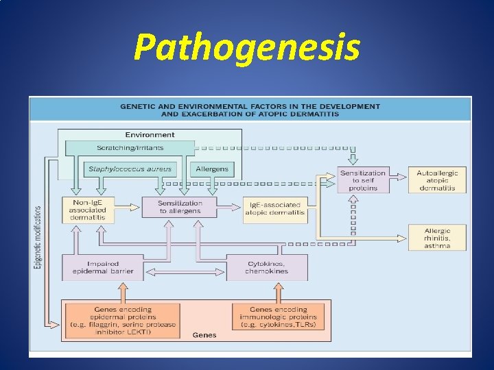 Pathogenesis 